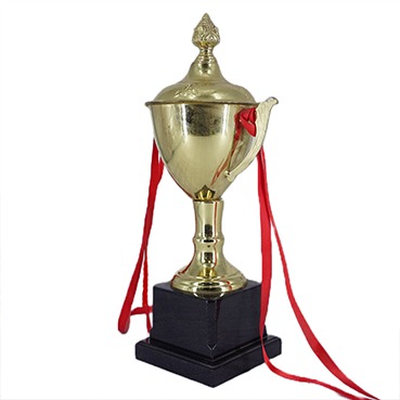 premium metal trophy series